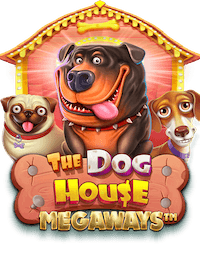 The dog house